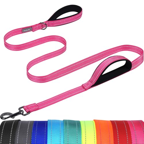 VIVAGLORY Twingrip Führleine Hund, Leine Hund Hausleine Joggingleine, Hundeleine mit 2 Griffen Doppelgriff, Gepolstert Neopren & Reflektierend, 1.5m x 2.5cm, Rosa von VIVAGLORY