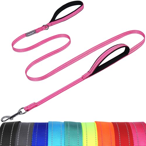 VIVAGLORY Twingrip Führleine Hund, Leine Hund Hausleine Joggingleine, Hundeleine mit 2 Griffen Doppelgriff, Gepolstert Neopren & Reflektierend, 1.8m x 1.4cm, Rosa von VIVAGLORY