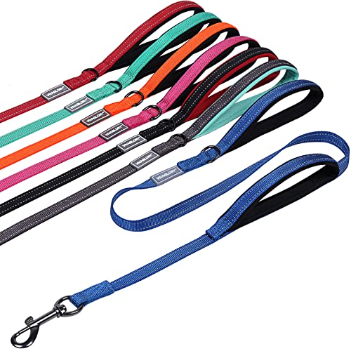VIVAGLORY Hundeleine mit Zwei Griffen, für Training und Spazierengehen, mit Griff für den Verkehr, doppelte Hundeleine mit Griffen, reflektierende Sicherheit, Bequeme Hund Leine, 1.8 m x 1.4 cm, Blau VIVAGLORY Hundeleine mit Zwei Griffen, für Training und Spazierengehen, mit Griff für den Verkehr, doppelte Hundeleine mit Griffen, reflektierende Sicherheit, Bequeme Hund Leine, 1.8 m x 1.4 cm, Blau von VIVAGLORY