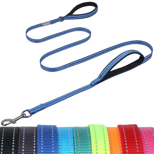 VIVAGLORY Twingrip Führleine Hund, Leine Hund Hausleine Joggingleine, Hundeleine mit 2 Griffen Doppelgriff, Gepolstert Neopren & Reflektierend, 1.8m x 1.4cm, Blau von VIVAGLORY