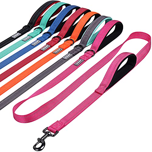 VIVAGLORY Hundeleine mit Zwei Griffen, für Training und Spazierengehen, mit Griff für den Verkehr, doppelte Hundeleine mit Griffen, reflektierende Sicherheit, Bequeme Hund Leine, 1.8 m x 2.5 cm, Rosa VIVAGLORY Hundeleine mit Zwei Griffen, für Training und Spazierengehen, mit Griff für den Verkehr, doppelte Hundeleine mit Griffen, reflektierende Sicherheit, Bequeme Hund Leine, 1.8 m x 2.5 cm, Rosa von VIVAGLORY