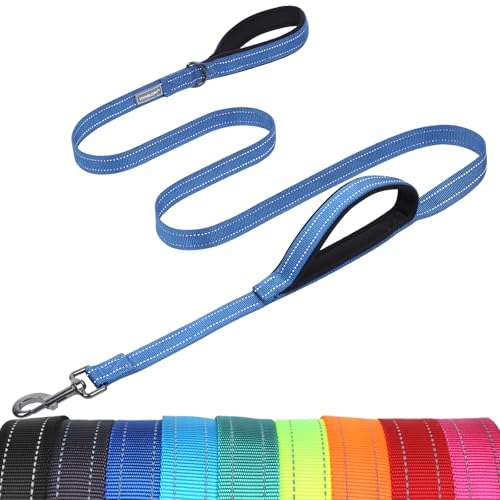 VIVAGLORY Twingrip Führleine Hund, Leine Hund Hausleine Joggingleine, Hundeleine mit 2 Griffen Doppelgriff, Gepolstert Neopren & Reflektierend, 1.8m x 2.5cm, Blau von VIVAGLORY