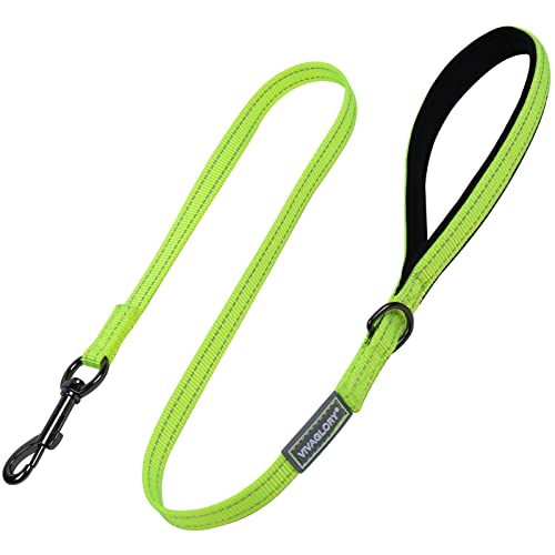 VIVAGLORY Hundeleine, Hundeleine für Spaziergänge mit Bequemer Neopren Gepolsterter Griff, Schwerlast Trainingsleine für Kleine bis Mittlere Hunde von VIVAGLORY