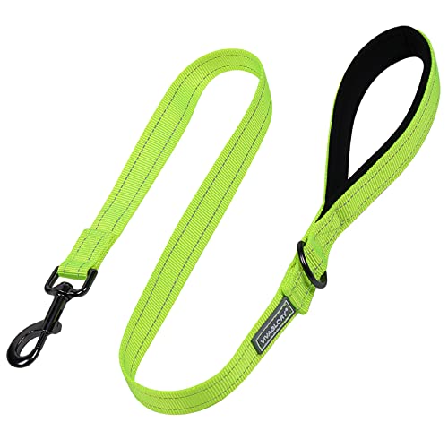 VIVAGLORY Hundeleine, Hundeleine für Spaziergänge mit Komfortabler Gepolsterter Griff, Reflektierend für Sicherheit, Schwerlast Trainingsleine für Mittlere bis Große Hunde VIVAGLORY Hundeleine, Hundeleine für Spaziergänge mit Komfortabler Gepolsterter Griff, Reflektierend für Sicherheit, Schwerlast Trainingsleine für Mittlere bis Große Hunde von VIVAGLORY