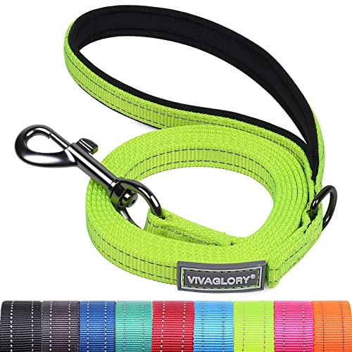 VIVAGLORY Hundeleine, Hundeleine für Spaziergänge mit Bequemer Neopren Gepolsterter Griff, Schwerlast Trainingsleine für Kleine bis Mittlere Hunde von VIVAGLORY