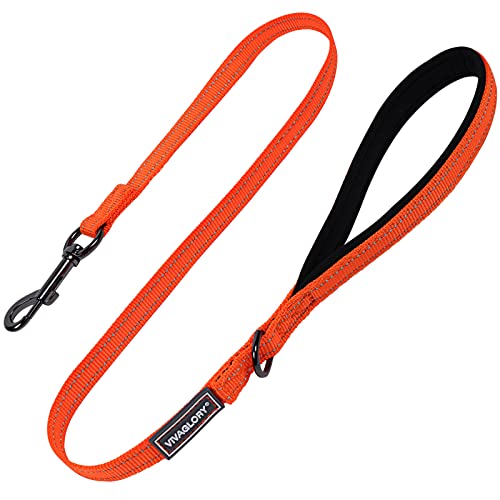 VIVAGLORY Hundeleine, Hundeleine für Spaziergänge mit Bequemer Neopren Gepolsterter Griff, Schwerlast Trainingsleine für Kleine bis Mittlere Hunde VIVAGLORY Hundeleine, Hundeleine für Spaziergänge mit Bequemer Neopren Gepolsterter Griff, Schwerlast Trainingsleine für Kleine bis Mittlere Hunde von VIVAGLORY