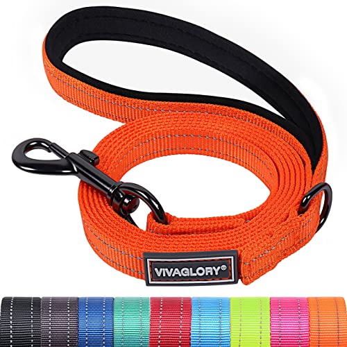 VIVAGLORY Hundeleine, Hundeleine für Spaziergänge mit Bequemer Neopren Gepolsterter Griff, Schwerlast Trainingsleine für Kleine bis Mittlere Hunde von VIVAGLORY