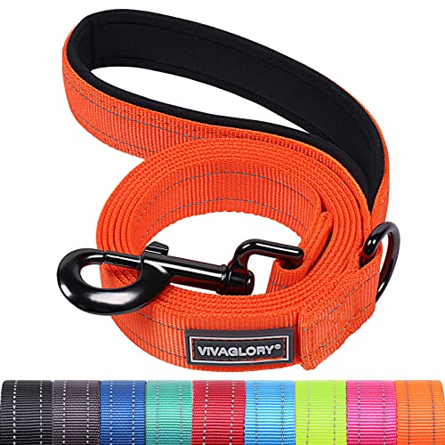 VIVAGLORY Hundeleine, Hundeleine für Spaziergänge mit Komfortabler Gepolsterter Griff, Reflektierend für Sicherheit, Schwerlast Trainingsleine für Mittlere bis Große Hunde VIVAGLORY Hundeleine, Hundeleine für Spaziergänge mit Komfortabler Gepolsterter Griff, Reflektierend für Sicherheit, Schwerlast Trainingsleine für Mittlere bis Große Hunde von VIVAGLORY