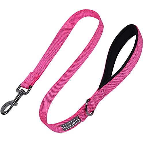 VIVAGLORY Hundeleine, Hundeleine für Spaziergänge mit Komfortabler Gepolsterter Griff, Reflektierend für Sicherheit, Schwerlast Trainingsleine für Mittlere bis Große Hunde VIVAGLORY Hundeleine, Hundeleine für Spaziergänge mit Komfortabler Gepolsterter Griff, Reflektierend für Sicherheit, Schwerlast Trainingsleine für Mittlere bis Große Hunde von VIVAGLORY