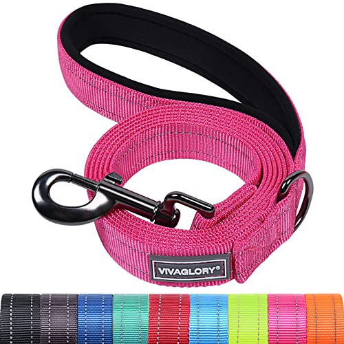 VIVAGLORY Hundeleine, Hundeleine für Spaziergänge mit Komfortabler Gepolsterter Griff, Reflektierend für Sicherheit, Schwerlast Trainingsleine für Mittlere bis Große Hunde VIVAGLORY Hundeleine, Hundeleine für Spaziergänge mit Komfortabler Gepolsterter Griff, Reflektierend für Sicherheit, Schwerlast Trainingsleine für Mittlere bis Große Hunde von VIVAGLORY