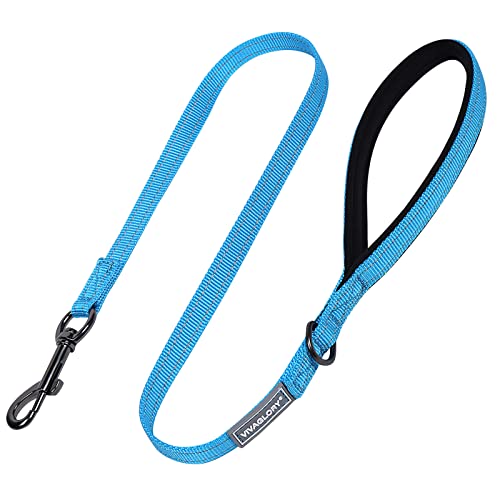 VIVAGLORY Hundeleine, Hundeleine für Spaziergänge mit Bequemer Neopren Gepolsterter Griff, Schwerlast Trainingsleine für Kleine bis Mittlere Hunde VIVAGLORY Hundeleine, Hundeleine für Spaziergänge mit Bequemer Neopren Gepolsterter Griff, Schwerlast Trainingsleine für Kleine bis Mittlere Hunde von VIVAGLORY