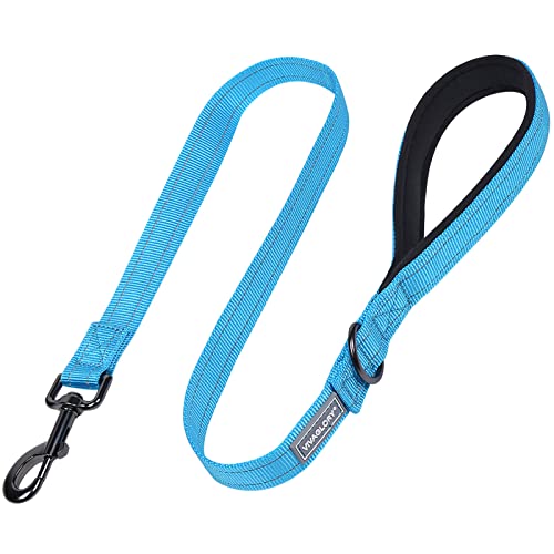 VIVAGLORY Hundeleine, Hundeleine für Spaziergänge mit Komfortabler Gepolsterter Griff, Reflektierend für Sicherheit, Schwerlast Trainingsleine für Mittlere bis Große Hunde VIVAGLORY Hundeleine, Hundeleine für Spaziergänge mit Komfortabler Gepolsterter Griff, Reflektierend für Sicherheit, Schwerlast Trainingsleine für Mittlere bis Große Hunde von VIVAGLORY