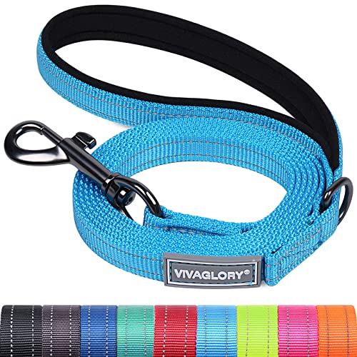 VIVAGLORY Hundeleine, Hundeleine für Spaziergänge mit Bequemer Neopren Gepolsterter Griff, Schwerlast Trainingsleine für Kleine bis Mittlere Hunde von VIVAGLORY