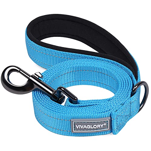 VIVAGLORY Hundeleine, Hundeleine für Spaziergänge mit Komfortabler Gepolsterter Griff, Reflektierend für Sicherheit, Schwerlast Trainingsleine für Mittlere bis Große Hunde VIVAGLORY Hundeleine, Hundeleine für Spaziergänge mit Komfortabler Gepolsterter Griff, Reflektierend für Sicherheit, Schwerlast Trainingsleine für Mittlere bis Große Hunde von VIVAGLORY