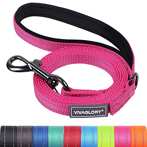 VIVAGLORY Hundeleine, Hundeleine für Spaziergänge mit Bequemer Neopren Gepolsterter Griff, Schwerlast Trainingsleine für Kleine bis Mittlere Hunde von VIVAGLORY