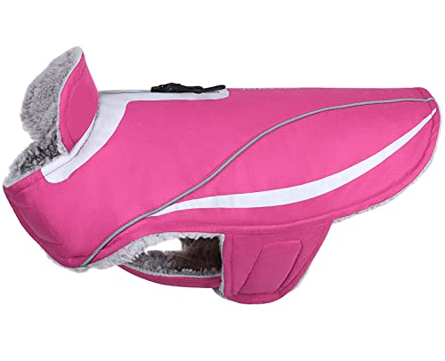VIVAGLORY Hundemantel, Leichtgewichtig Kuschelig Hundejacke Fleece Für Den Spätherbst und den Frühwinter, Wasserbeständig Hundefleeceweste für Klein Haustiere Gehen Training, Fuchsia VIVAGLORY Hundemantel, Leichtgewichtig Kuschelig Hundejacke Fleece Für Den Spätherbst und den Frühwinter, Wasserbeständig Hundefleeceweste für Klein Haustiere Gehen Training, Fuchsia von VIVAGLORY