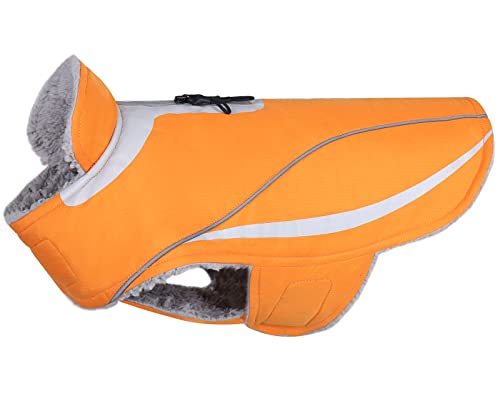 VIVAGLORY Hundemantel, Leichtgewichtig Kuschelig Hundejacke Fleece Für Den Spätherbst und den Frühwinter, Wasserbeständig Hundefleeceweste für Klein Haustiere Gehen Training, Orange VIVAGLORY Hundemantel, Leichtgewichtig Kuschelig Hundejacke Fleece Für Den Spätherbst und den Frühwinter, Wasserbeständig Hundefleeceweste für Klein Haustiere Gehen Training, Orange von VIVAGLORY