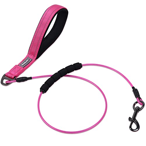 VIVAGLORY Kausicher Trainingsleine, Wasserdicht Nicht kaubar Hundeleine Kette aus Metall, Weichschaum Reflektierend Gepolsterter Griff, Edelstahl Drahtseil Leine für Kleine Mittel Große Hunde, 120CM VIVAGLORY Kausicher Trainingsleine, Wasserdicht Nicht kaubar Hundeleine Kette aus Metall, Weichschaum Reflektierend Gepolsterter Griff, Edelstahl Drahtseil Leine für Kleine Mittel Große Hunde, 120CM von VIVAGLORY