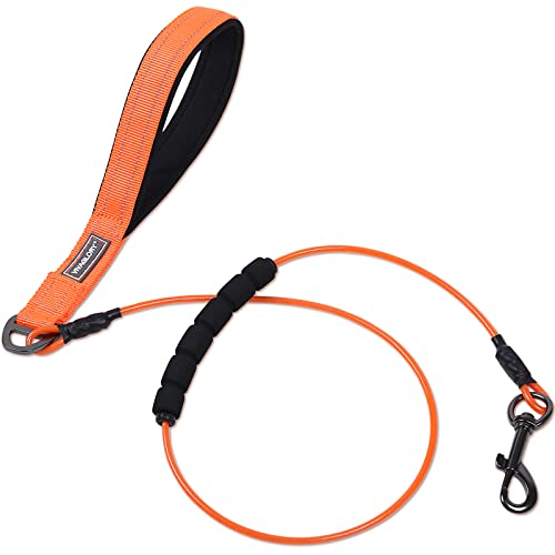 VIVAGLORY Kausicher Trainingsleine, Wasserdicht Nicht kaubar Hundeleine Kette aus Metall, Weichschaum Reflektierend Gepolsterter Griff, Edelstahl Drahtseil Leine für Kleine Mittel Große Hunde, 120CM VIVAGLORY Kausicher Trainingsleine, Wasserdicht Nicht kaubar Hundeleine Kette aus Metall, Weichschaum Reflektierend Gepolsterter Griff, Edelstahl Drahtseil Leine für Kleine Mittel Große Hunde, 120CM von VIVAGLORY