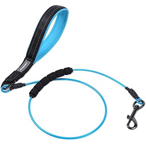 VIVAGLORY Hundeleine Edelstahl Toughbite Hundeleine Bissfest, Welpenleine Führleine mit Doppelgriff & 2 Griffen für Hausleine Joggingleine, Kette Metall Edelstahl & Bissfest für Hunde, 120cm, Blau von VIVAGLORY