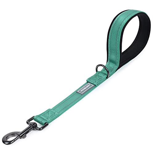 VIVAGLORY Hundeleine Kurz Closelyt Kurzführer Hund, Hundeleine Leine mit Gepolstertem Griff & Schlaufe für Joggingleine Hausleine, Kurzführer & Kurzleine für Hunde, 46cm, Grün von VIVAGLORY