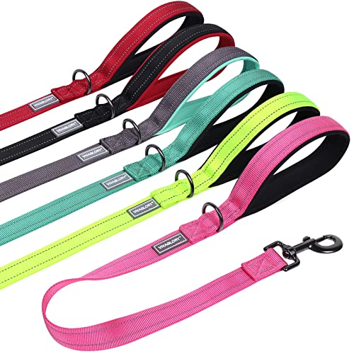 VIVAGLORY Hundeleine Kurz, Kurze Verkehrsleine für Hunde, Kurze Trainingsleine für Mittelgroße und Große Hunde, 61cm Länge 2,5cm Breite, Pink von VIVAGLORY