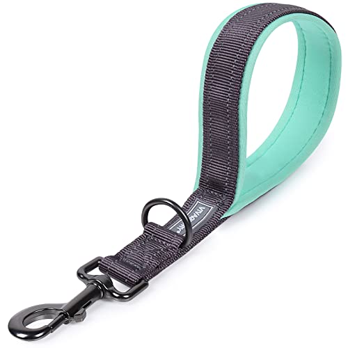 VIVAGLORY Kurzführer Hund Hundeleine Kurz Kurze Leine Hund Nylonleine Hundeleine Mittelgroße Große Hunde Kurzführer Hund Metallclip Hundeleine mit Kurzführer, 32 cm Länge 2,5 cm Breite, Dunkelgrau VIVAGLORY Kurzführer Hund Hundeleine Kurz Kurze Leine Hund Nylonleine Hundeleine Mittelgroße Große Hunde Kurzführer Hund Metallclip Hundeleine mit Kurzführer, 32 cm Länge 2,5 cm Breite, Dunkelgrau von VIVAGLORY