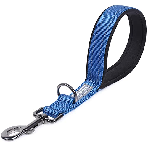 VIVAGLORY Kurzführer Hund Hundeleine Kurz Kurze Leine Hund Nylonleine Hundeleine Mittelgroße Große Hunde Kurzführer Hund Metallclip Hundeleine mit Kurzführer, 32 cm Länge 2,5 cm Breite, Blau VIVAGLORY Kurzführer Hund Hundeleine Kurz Kurze Leine Hund Nylonleine Hundeleine Mittelgroße Große Hunde Kurzführer Hund Metallclip Hundeleine mit Kurzführer, 32 cm Länge 2,5 cm Breite, Blau von VIVAGLORY