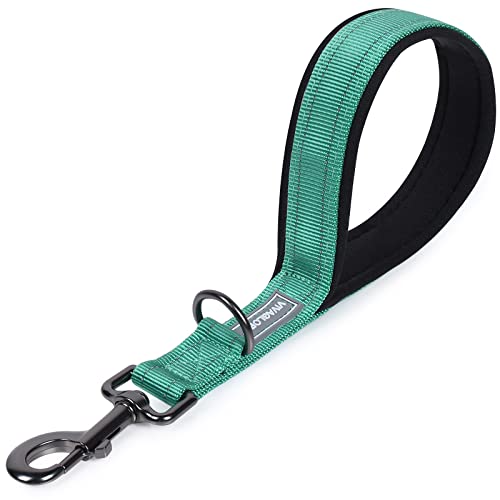 VIVAGLORY Kurzführer Hund Hundeleine Kurz Kurze Leine Hund Nylonleine Hundeleine Mittelgroße Große Hunde Kurzführer Hund Metallclip Hundeleine mit Kurzführer, 32 cm Länge 2,5 cm Breite, Grün VIVAGLORY Kurzführer Hund Hundeleine Kurz Kurze Leine Hund Nylonleine Hundeleine Mittelgroße Große Hunde Kurzführer Hund Metallclip Hundeleine mit Kurzführer, 32 cm Länge 2,5 cm Breite, Grün von VIVAGLORY