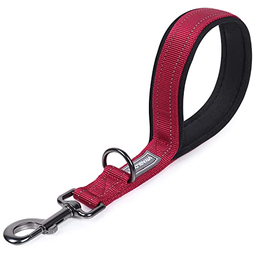 VIVAGLORY Kurzführer Hund Hundeleine Kurz Kurze Leine Hund Nylonleine Hundeleine Mittelgroße Große Hunde Kurzführer Hund Metallclip Hundeleine mit Kurzführer, 32 cm Länge 2,5 cm Breite, Rot VIVAGLORY Kurzführer Hund Hundeleine Kurz Kurze Leine Hund Nylonleine Hundeleine Mittelgroße Große Hunde Kurzführer Hund Metallclip Hundeleine mit Kurzführer, 32 cm Länge 2,5 cm Breite, Rot von VIVAGLORY