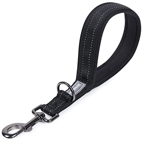 VIVAGLORY Kurzführer Hund Hundeleine Kurz Kurze Leine Hund Nylonleine Hundeleine Mittelgroße Große Hunde Kurzführer Hund Metallclip Hundeleine mit Kurzführer, 32 cm Länge 2,5 cm Breite, Schwarz VIVAGLORY Kurzführer Hund Hundeleine Kurz Kurze Leine Hund Nylonleine Hundeleine Mittelgroße Große Hunde Kurzführer Hund Metallclip Hundeleine mit Kurzführer, 32 cm Länge 2,5 cm Breite, Schwarz von VIVAGLORY