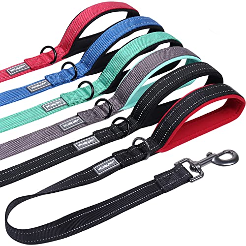 VIVAGLORY Kurzführer Hund Hundeleine Kurz Kurze Leine Hund Nylonleine Hundeleine Mittelgroße Große Hunde Kurzführer Hund Metallclip Hundeleine mit Kurzführer, 61 cm Länge 2,5 cm Breite, Schwarz/Rot VIVAGLORY Kurzführer Hund Hundeleine Kurz Kurze Leine Hund Nylonleine Hundeleine Mittelgroße Große Hunde Kurzführer Hund Metallclip Hundeleine mit Kurzführer, 61 cm Länge 2,5 cm Breite, Schwarz/Rot von VIVAGLORY