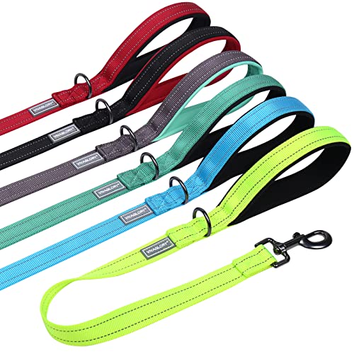 VIVAGLORY Kurzführer Hund Hundeleine Kurz Kurze Leine Hund Nylonleine Hundeleine Mittelgroße Große Hunde Kurzführer Hund Metallclip Hundeleine mit Kurzführer, 61 cm Länge 2,5 cm Breite, Neon Gelb von VIVAGLORY
