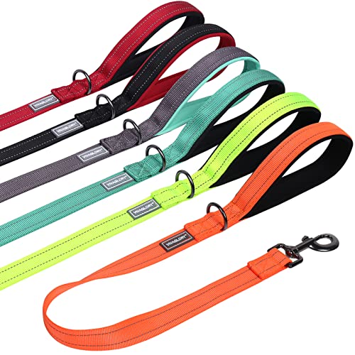 VIVAGLORY Kurzführer Hund Hundeleine Kurz Kurze Leine Hund Nylonleine Hundeleine Mittelgroße Große Hunde Kurzführer Hund Metallclip Hundeleine mit Kurzführer, 61 cm Länge 2,5 cm Breite, Orange VIVAGLORY Kurzführer Hund Hundeleine Kurz Kurze Leine Hund Nylonleine Hundeleine Mittelgroße Große Hunde Kurzführer Hund Metallclip Hundeleine mit Kurzführer, 61 cm Länge 2,5 cm Breite, Orange von VIVAGLORY