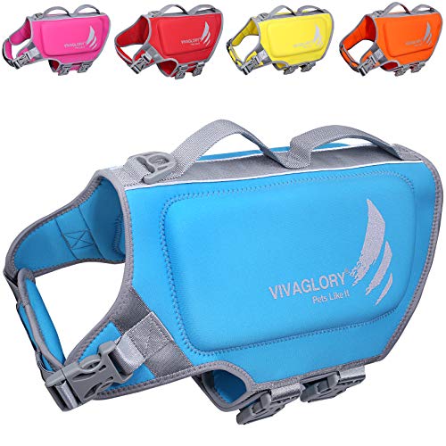 VIVAGLORY Leichte Rettungsweste für Hunde, Haustiere Lebensretter Hautfreundliche Neopren für Große Hunde Hundeschwimmwesten mit D-Ring & Schnellverschluss, Blau von VIVAGLORY