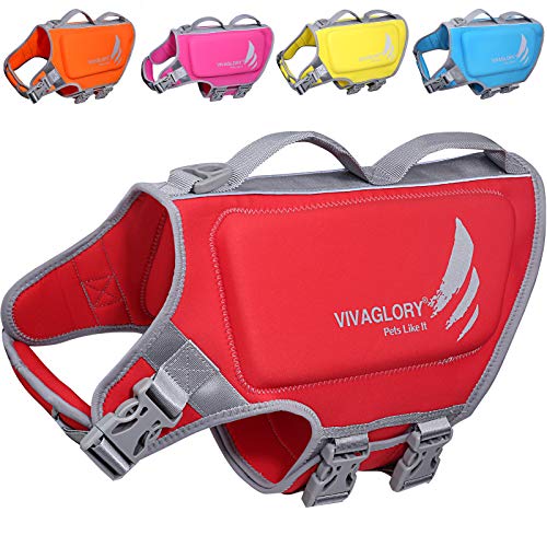 VIVAGLORY Leichte Rettungsweste für Hunde, Haustiere Lebensretter Hautfreundliche Neopren für Große Hunde Hundeschwimmwesten mit D-Ring & Schnellverschluss, Rot von VIVAGLORY