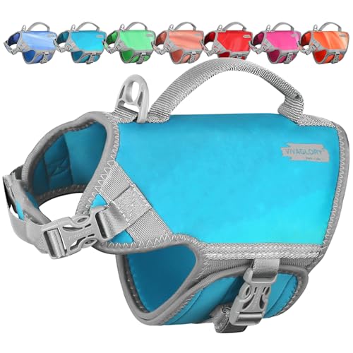 VIVAGLORY Neopren Schwimmweste Hund Dog Life Jacket Für Wassersport Schwimmen & Hunter, Leichte Sicher Langlebig Einstellbar Auftrieb Lebensretter Mit Rettungsgrif, XS, Türkis VIVAGLORY Neopren Schwimmweste Hund Dog Life Jacket Für Wassersport Schwimmen & Hunter, Leichte Sicher Langlebig Einstellbar Auftrieb Lebensretter Mit Rettungsgrif, XS, Türkis von VIVAGLORY