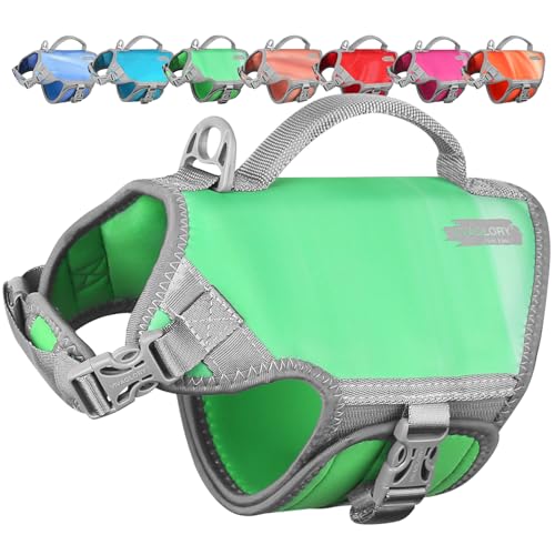 VIVAGLORY Neopren Schwimmweste Hund Hunde Rettungsweste Für Wassersport Schwimmen & Hunter, Leichte Sicher Langlebig Einstellbar Auftrieb Lebensretter Mit Rettungsgrif, XS, Trauben Grün VIVAGLORY Neopren Schwimmweste Hund Hunde Rettungsweste Für Wassersport Schwimmen & Hunter, Leichte Sicher Langlebig Einstellbar Auftrieb Lebensretter Mit Rettungsgrif, XS, Trauben Grün von VIVAGLORY