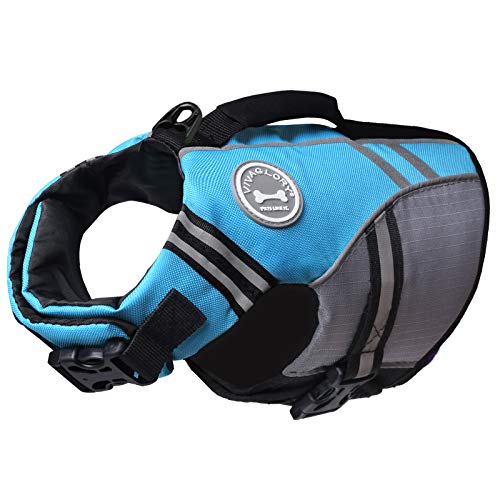 VIVAGLORY Sportstil Schwimmweste für Hunde mit Hervorragendem Auftrieb, Einstellbar & Langlebig Schwimmweste mit Sicherem Befestigungssystem für Kleine Hunde, Blau VIVAGLORY Sportstil Schwimmweste für Hunde mit Hervorragendem Auftrieb, Einstellbar & Langlebig Schwimmweste mit Sicherem Befestigungssystem für Kleine Hunde, Blau von VIVAGLORY
