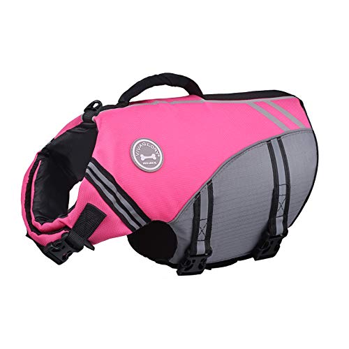 VIVAGLORY Sportstil Schwimmweste für Hunde mit Hervorragendem Auftrieb, Einstellbar & Langlebig Schwimmweste mit Sicherem Befestigungssystem für Kleine Hunde, Rosa VIVAGLORY Sportstil Schwimmweste für Hunde mit Hervorragendem Auftrieb, Einstellbar & Langlebig Schwimmweste mit Sicherem Befestigungssystem für Kleine Hunde, Rosa von VIVAGLORY