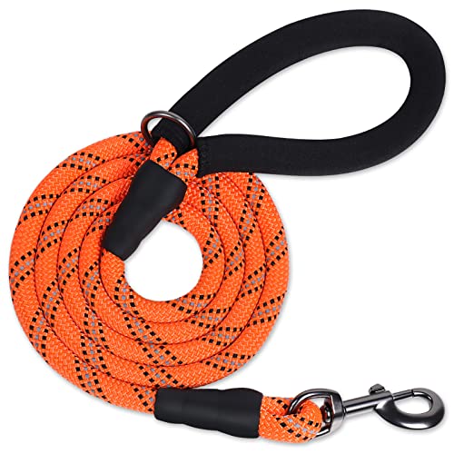 VIVAGLORY Starke Hundeleine Aus Seil Mit Dickem Neopren Gepolstertem Griff, 180CM Reflektierende GEH- Und Trainingsleine Für Kleine Und Mittlere Hunde, Die Ziehen, Orange von VIVAGLORY