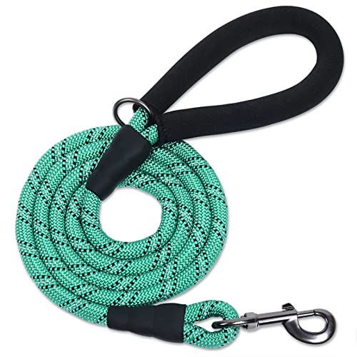 VIVAGLORY Starke Hundeleine Aus Seil Mit Dickem Neopren-Gepolsterten Griff, 180CM Reflektierende GEH- Und Trainingsleine Für Kleine Und Mittlere Hunde, Die Ziehen, Türkis VIVAGLORY Starke Hundeleine Aus Seil Mit Dickem Neopren-Gepolsterten Griff, 180CM Reflektierende GEH- Und Trainingsleine Für Kleine Und Mittlere Hunde, Die Ziehen, Türkis von VIVAGLORY