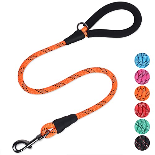 VIVAGLORY Starke Hundeleine Mit Dickem Neopren Gepolstertem Griff Und Stark Reflektierenden Fäden, 120CM Seilgeh- Und Trainingsleine Für Kleine Und Mittlere Hunde, Die Ziehen, Orange VIVAGLORY Starke Hundeleine Mit Dickem Neopren Gepolstertem Griff Und Stark Reflektierenden Fäden, 120CM Seilgeh- Und Trainingsleine Für Kleine Und Mittlere Hunde, Die Ziehen, Orange von VIVAGLORY