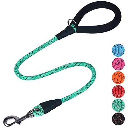 VIVAGLORY Starkes Hundeleine Aus Seil Mit Dickem Neopren-Gepolsterten Griff Und Hochreflektierenden Fäden, 120CM GEH- Und Trainingsleine Für Kleine Und Mittlere Hunde, Die Ziehen, Türkis VIVAGLORY Starkes Hundeleine Aus Seil Mit Dickem Neopren-Gepolsterten Griff Und Hochreflektierenden Fäden, 120CM GEH- Und Trainingsleine Für Kleine Und Mittlere Hunde, Die Ziehen, Türkis von VIVAGLORY