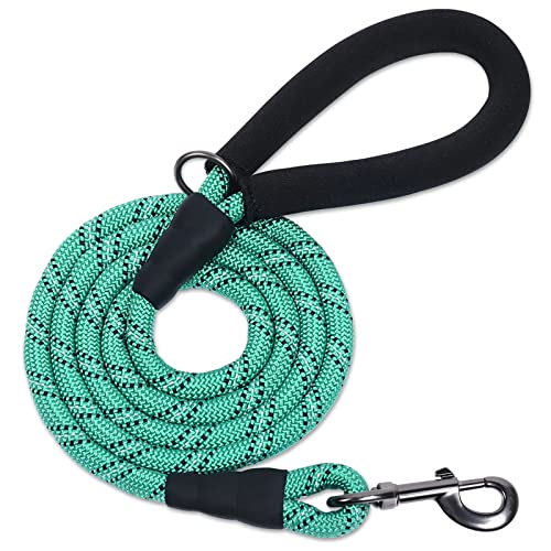 VIVAGLORY Starkes Hundeleine-Seil Mit Dickem Neopren-Gepolstertem Griff, 180CM Reflektierende Trainings- Und Spazierleine Für Kleine Bis Mittelgroße Hunde, Die Ziehen, Türkis VIVAGLORY Starkes Hundeleine-Seil Mit Dickem Neopren-Gepolstertem Griff, 180CM Reflektierende Trainings- Und Spazierleine Für Kleine Bis Mittelgroße Hunde, Die Ziehen, Türkis von VIVAGLORY
