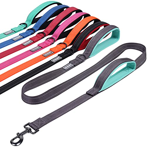 VIVAGLORY Hundeleine mit Zwei Griffen, für Training und Spazierengehen, mit Griff für den Verkehr, doppelte Hundeleine mit Griffen, reflektierende Sicherheit, Bequeme Hund Leine, 1.5 m x 2.5 cm, Grau VIVAGLORY Hundeleine mit Zwei Griffen, für Training und Spazierengehen, mit Griff für den Verkehr, doppelte Hundeleine mit Griffen, reflektierende Sicherheit, Bequeme Hund Leine, 1.5 m x 2.5 cm, Grau von VIVAGLORY