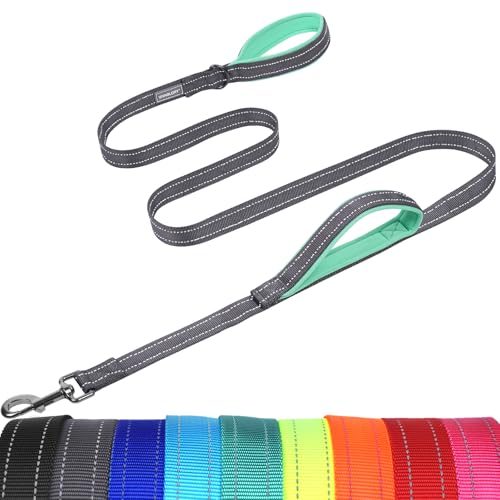 VIVAGLORY Twingrip Führleine Hund, Leine Hund Hausleine Joggingleine, Hundeleine mit 2 Griffen Doppelgriff, Gepolstert Neopren & Reflektierend, 1.2m x 2.5cm, Grau von VIVAGLORY