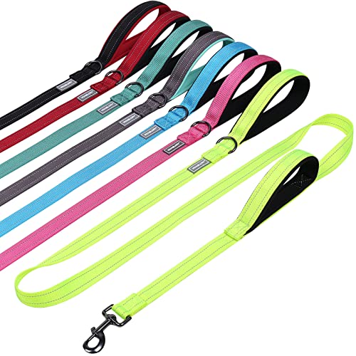 VIVAGLORY Hundeleine mit Zwei Griffen, für Training und Spazierengehen, mit Griff für den Verkehr, Hundeleine mit Griffen, reflektierende Sicherheit, Bequeme Hund Leine, 1.8 m x 2.5 cm, Helles Gelb VIVAGLORY Hundeleine mit Zwei Griffen, für Training und Spazierengehen, mit Griff für den Verkehr, Hundeleine mit Griffen, reflektierende Sicherheit, Bequeme Hund Leine, 1.8 m x 2.5 cm, Helles Gelb von VIVAGLORY