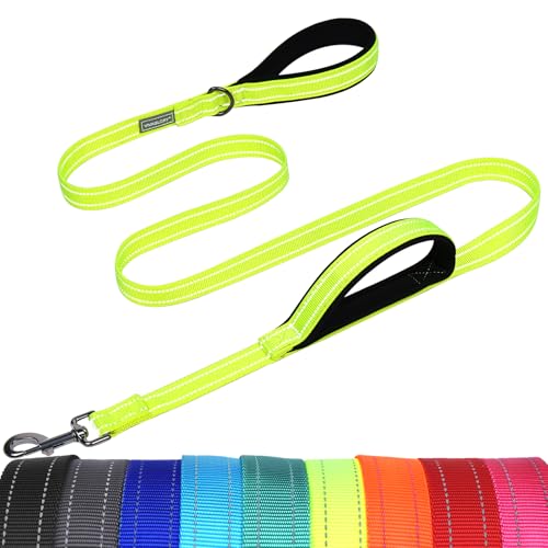 VIVAGLORY Twingrip Führleine Hund, Leine Hund Hausleine Joggingleine, Hundeleine mit 2 Griffen Doppelgriff, Gepolstert Neopren & Reflektierend, 1.8m x 2.5cm, Helles Gelb von VIVAGLORY
