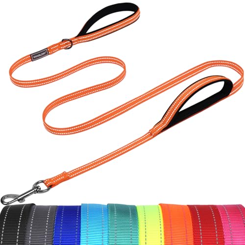 VIVAGLORY Twingrip Führleine Hund, Leine Hund Hausleine Joggingleine, Hundeleine mit 2 Griffen Doppelgriff, Gepolstert Neopren & Reflektierend, 1.5m x 1.4cm, Orange von VIVAGLORY